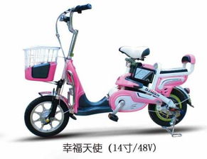 幸福天使的軌跡 一輛電動(dòng)車與一千個(gè)微笑的故事